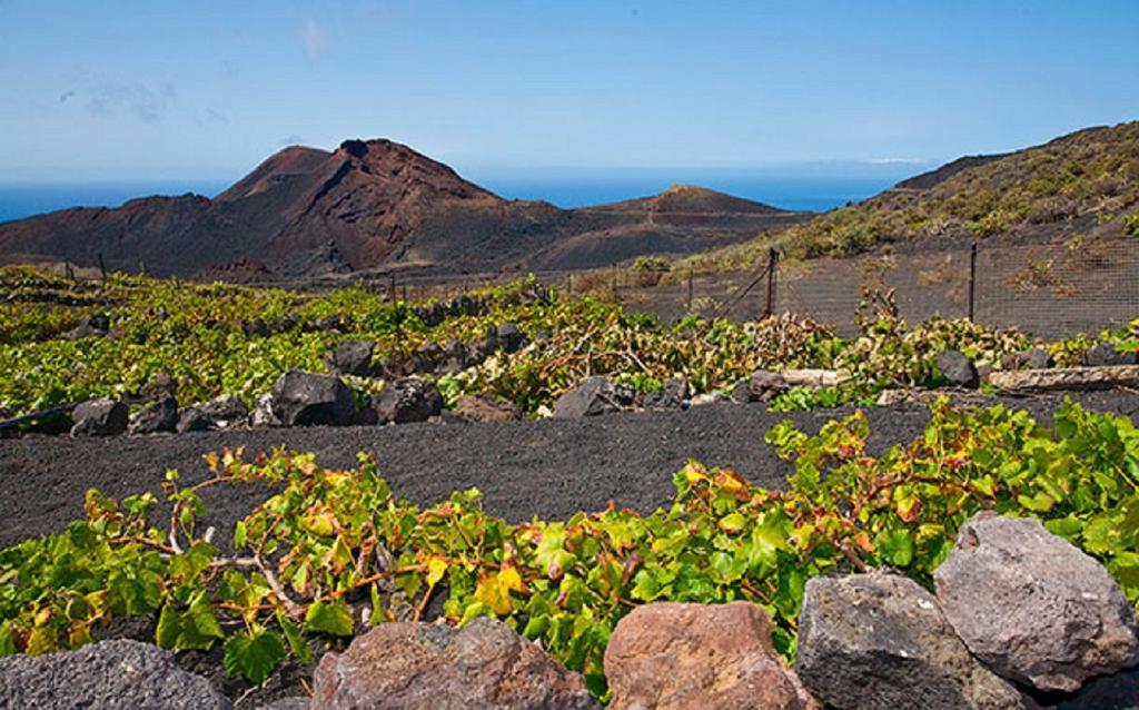 La Palmerita Vacacional Лос-Льянос-де-Арідане Екстер'єр фото